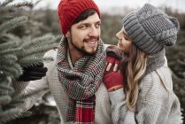 Junges Paar sucht Weihnachtsbaum aus Wald aus — Stockfoto