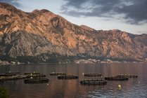 Jaula circular redes de pesca en el agua, Kotor, Montenegro, Europa - foto de stock
