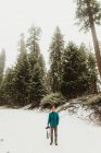 Porträt eines jungen Mannes mit Kamera im verschneiten Wald, Mammutbaum-Nationalpark, Kalifornien, USA — Stockfoto