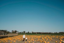 Mère et fille dans le champ de citrouilles, Oshawa, Canada, Amérique du Nord — Photo de stock