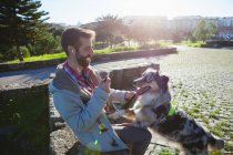 Homem segurando smartphone e brincando com cão no parque da cidade — Fotografia de Stock
