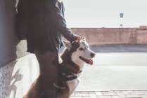 Ausgeschnittene Ansicht einer Frau mit Hund im Freien — Stockfoto