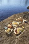 Selection of cheeses, arranged on rock, beside lake, Colgate Lake Wild Forest, Catskill Park, New York State, USA — Stock Photo