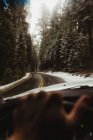 Mão masculina dirigindo na estrada rural em Sequoia National Park, Califórnia, EUA — Fotografia de Stock
