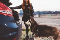 Женщина уговаривает собаку сесть в багажник — стоковое фото