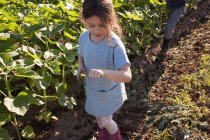 Chica joven caminando en la granja, mirando mariquita en la mano - foto de stock