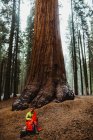 Masculino envolto em saco de dormir vermelho no Parque Nacional Sequoia, Califórnia, EUA — Fotografia de Stock