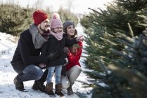 Mädchen und Eltern betrachten Wald-Weihnachtsbäume — Stockfoto