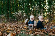 Портрет близнюків-чоловіків, що сидять серед осіннього листя в саду — стокове фото
