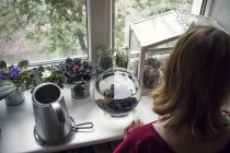 Jeune femme regardant des plantes en pot sur le terrarium du rebord de la fenêtre — Photo de stock