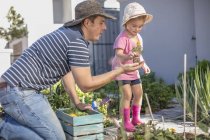 Father and daughter in garden planting flowers — Stock Photo