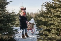 Chica en el bosque de árboles de Navidad tirando de regalos en tobogán, retrato - foto de stock