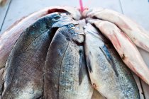Закрыть рыбу, тушеную до высыхания — стоковое фото