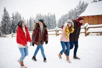 Amigos caminando en la nieve - foto de stock