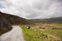 Краєвид з дороги на кільце Керрі, Ірландії — стокове фото