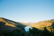 Vignobles dans la vallée avec ciel dégagé de la rivière Douro, Portugal — Photo de stock