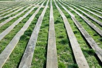 Diminishing perspective of wooden planks on grass — Stock Photo
