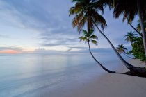 Pigeon Point beach at evening time, Tobago — Stock Photo