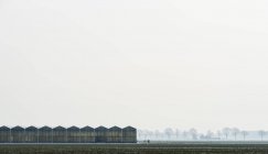 Gewächshaus, Dorst, Noord-Brabant, Niederlande — Stockfoto