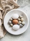 Varietà di uova di uccelli in una ciotola, vista aerea — Foto stock