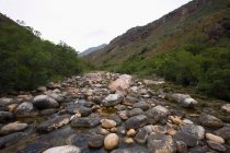 Fluss mit großen Steinen, Paarl, Südafrika — Stockfoto