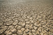 Riss im Boden in Nordkap, Südafrika — Stockfoto