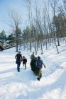 Сім'я, що йде з обрізаною сосною на снігу — стокове фото