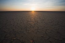 Cracked earth and sun on horizon, Northern Cape, South Africa — Stock Photo