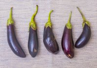 Top view of ripe aubergines in row on beige surface — Stock Photo