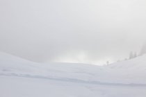 Escena de nieve en el Gran Macizo, Alpes franceses - foto de stock