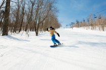 Жінка сноуборді в сніг пелериною ліс — стокове фото