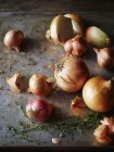Close-up view of onions, shallots and thyme on old rustic table — Stock Photo