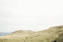 Green hills and grey cloudy sky, Nevada, USA — Stock Photo
