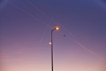 Фонарный столб под сиреневым небом со следами самолетов — стоковое фото