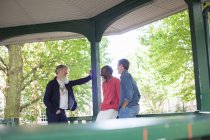 Three mature men standing under bandstand — Stock Photo