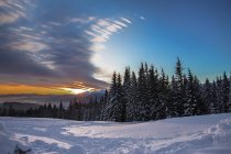 Borde del bosque en el paisaje cubierto de nieve al atardecer, Gurne, Ucrania, Europa del Este - foto de stock