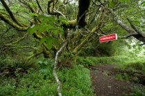 Señal de emergencia roja en bosque verde - foto de stock