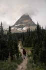 Rear view of woman in Glacier National Park, Montana, USA — Stock Photo