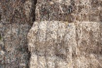 Paper pulp for recycling, abstract full frame texture — Stock Photo