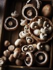 Vista superior da caixa de cogumelos frescos — Fotografia de Stock