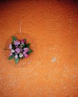 View of flower decoration on orange wall — Stock Photo