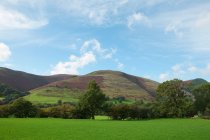 Verdi colline con alberi e cielo blu, Galles del Nord, Regno Unito — Foto stock