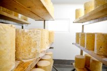 Prateleiras com rodas grandes de queijo estilton que amadurece — Fotografia de Stock