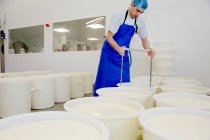 Cheese maker cutting the curds by hand — Stock Photo
