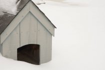 View of dog kennel in snow, close up — Stock Photo