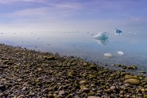 Kleine Eisberge im Meer, Narsaq, vestgronland, grönland — Stockfoto