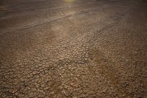 Cracked earth texture in Northern Cape, South Africa — Stock Photo