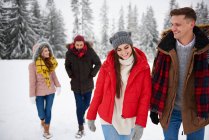 Друзья ходят по снегу — стоковое фото