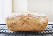 Loaf of fresh delicious bread on a cooling rack, close-up view — Stock Photo
