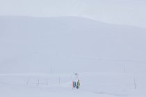 Bastoncini multicolori nella neve, Gran Massiccio, Alpi francesi — Foto stock